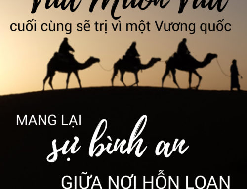 Những Khách mời vào dịp lễ – 25/12/2018